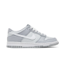 Nike Dunk Low Two-Toned Grey GS