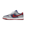 Nike Dunk Low CO.JP Samba
