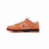 Nike SB Dunk Low Concepts Orange Lobster Special Box