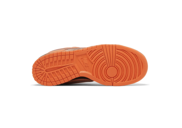 Nike SB Dunk Low Concepts Orange Lobster Special Box - Image 8