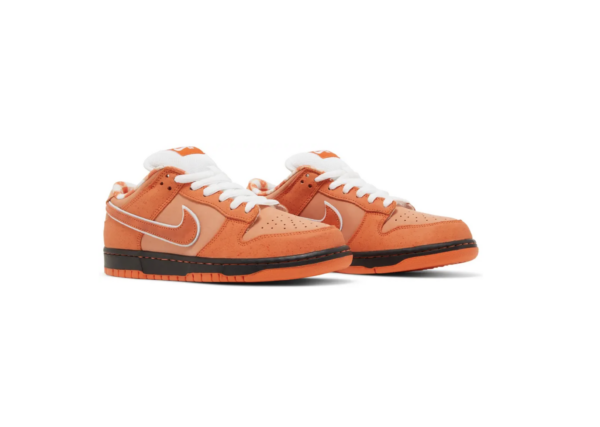 Nike SB Dunk Low Concepts Orange Lobster Special Box - Image 6