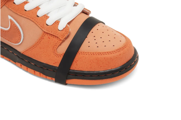 Nike SB Dunk Low Concepts Orange Lobster Special Box - Image 5