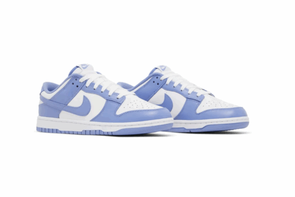 Nike Dunk Low Polar Blue