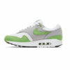 Nike Air Max 1 Patta 20th Anniversary Chlorophyll