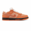 Nike SB Dunk Low Concepts Orange Lobster