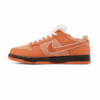 Nike SB Dunk Low Concepts Orange Lobster