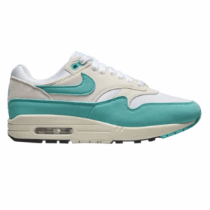 Nike Air Max 1 Dusty Cactus W