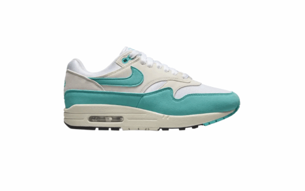 Nike Air Max 1 Dusty Cactus W