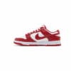 Nike Dunk Low USC